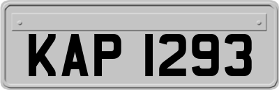 KAP1293