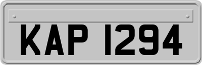 KAP1294