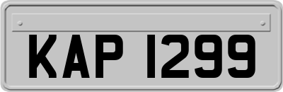 KAP1299