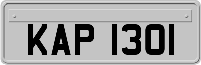 KAP1301