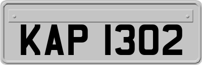 KAP1302