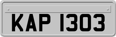 KAP1303