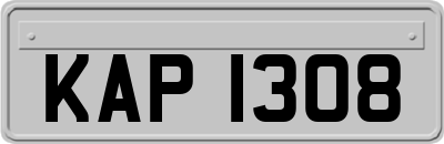KAP1308