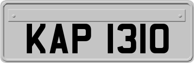 KAP1310