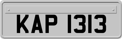 KAP1313