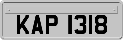 KAP1318