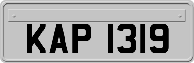 KAP1319