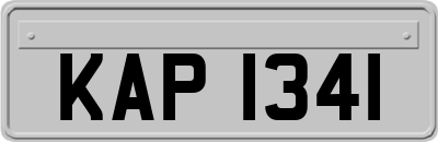 KAP1341