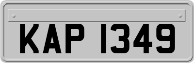 KAP1349