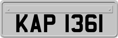 KAP1361