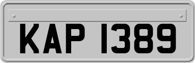 KAP1389