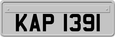KAP1391