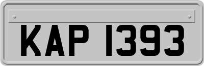 KAP1393