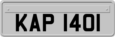 KAP1401