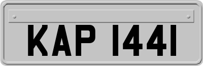 KAP1441