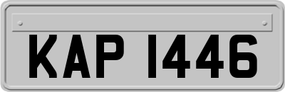 KAP1446