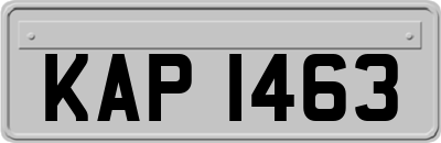 KAP1463