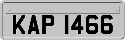 KAP1466