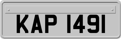 KAP1491