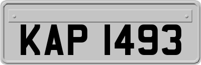 KAP1493