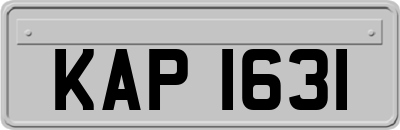 KAP1631