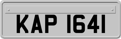 KAP1641