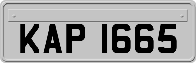 KAP1665