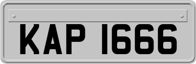 KAP1666