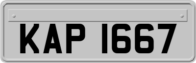 KAP1667