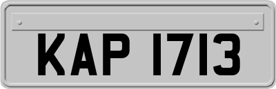 KAP1713
