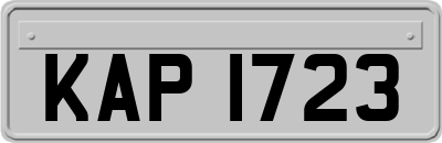 KAP1723