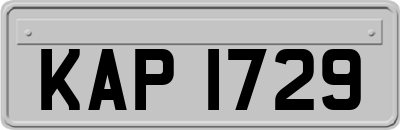 KAP1729