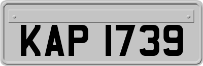 KAP1739