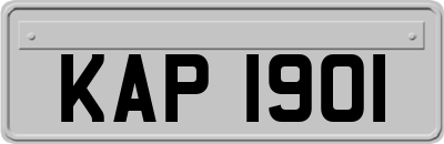 KAP1901