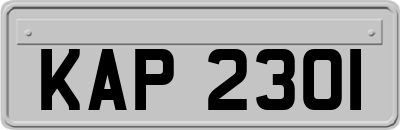 KAP2301