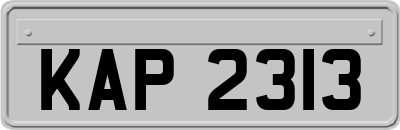 KAP2313