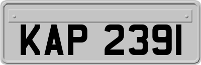 KAP2391