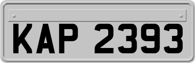 KAP2393