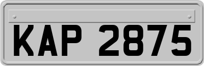 KAP2875