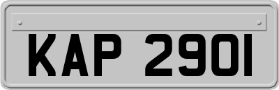 KAP2901