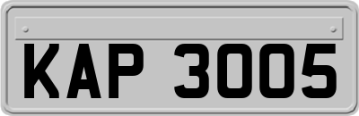 KAP3005