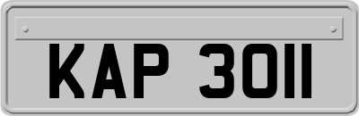 KAP3011