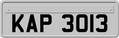 KAP3013