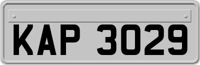 KAP3029
