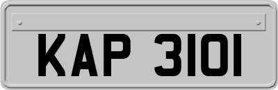 KAP3101