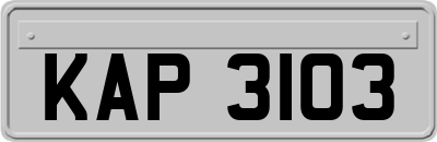KAP3103