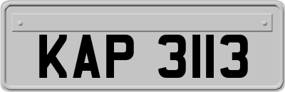 KAP3113