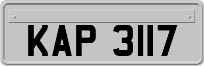 KAP3117
