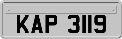 KAP3119