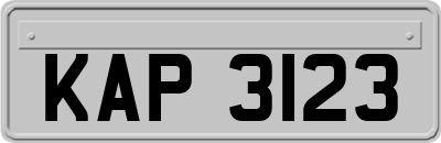 KAP3123